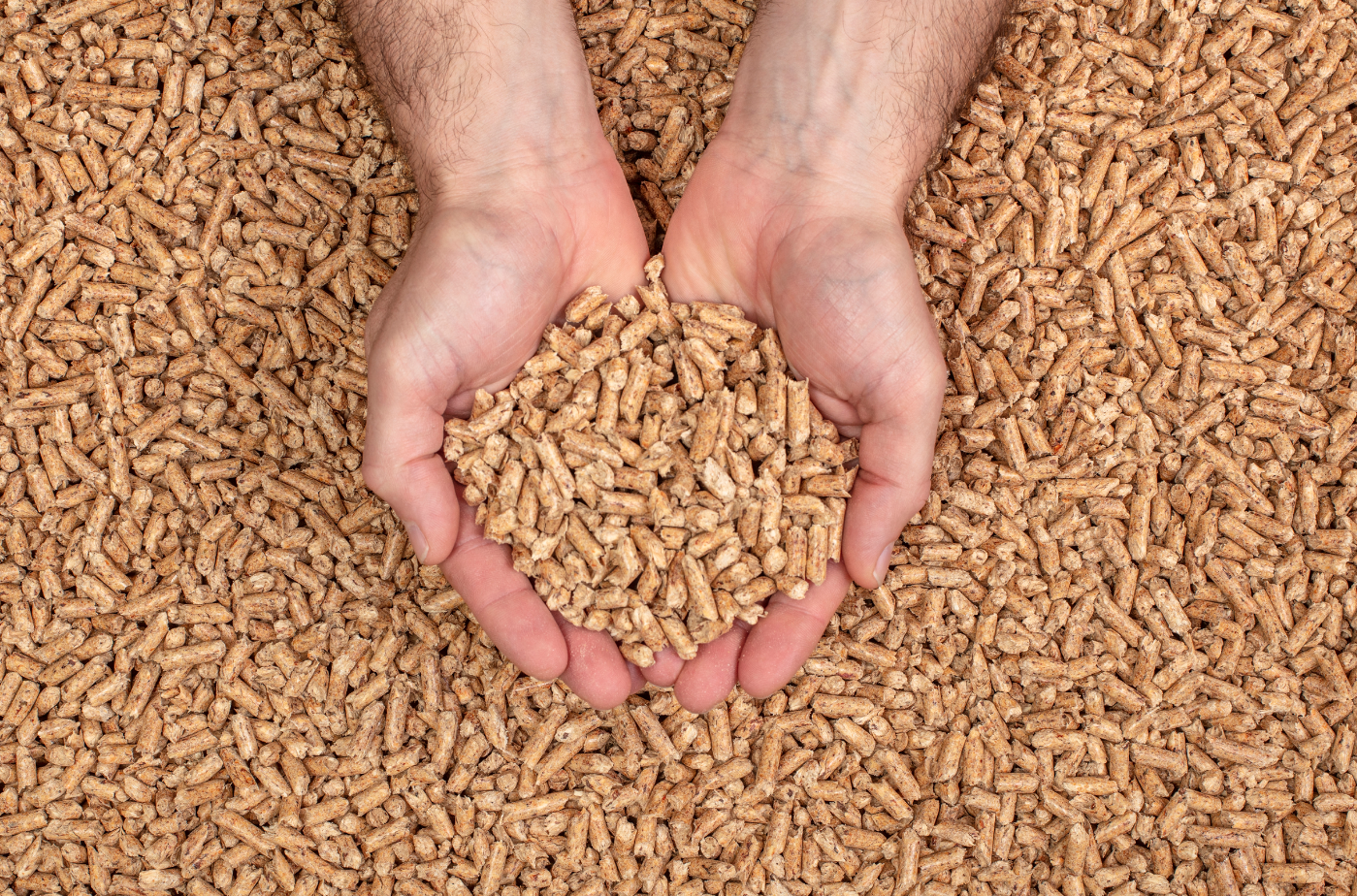 Mani che sorreggono una manciata di pellet di legno di alta qualità.